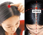 Đông Dươc diễn ca