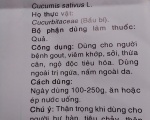 Sức Khỏe & Đời Sống