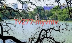 Hình ảnh vị trí và tác dụng của các huyệt vị